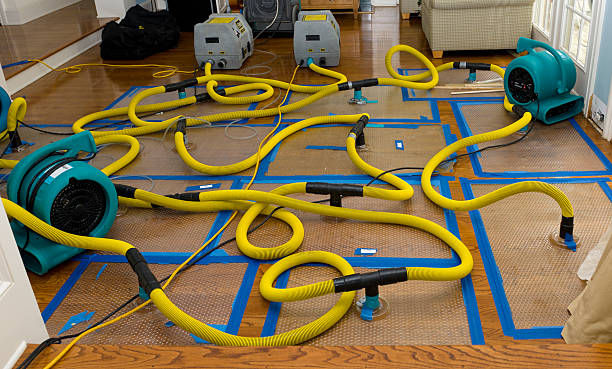 Professional Burst Pipe Water Damage technician working in Carlisle, AR